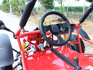 Captain 200cc Full Size Go Kart DF200GKA - Automatic + Reverse