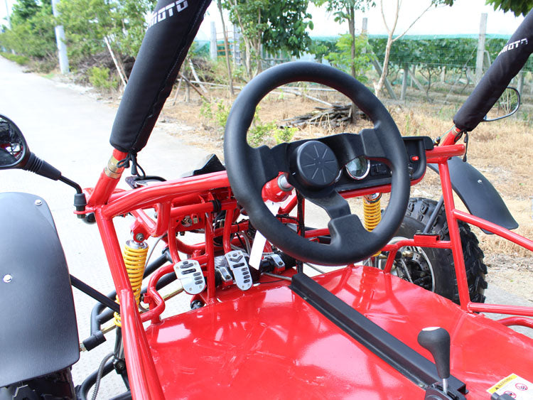 DF200GKA dash 200cc go kart