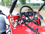 Captain 200cc Full Size Go Kart DF200GKA - Automatic + Reverse
