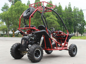 DF Go Kart 110cc Sport Premium - DF125GKS