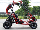 DF Go Kart 110cc Sport Premium - DF125GKS