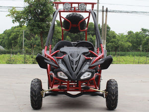 DF Go Kart 110cc Sport Premium - Back