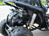 DF Go Kart 110cc Sport Premium - DF125GKS
