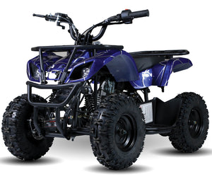 Buy Blue Kandi Ultimate 50cc Utility ATV Quad - Fully Automatic - KD60A-1N
