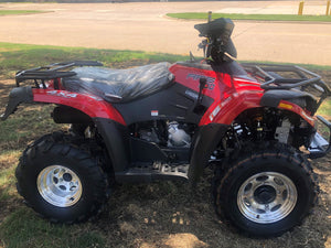 Predator 300cc Full Size ATV 4WD - Automatic Transmission