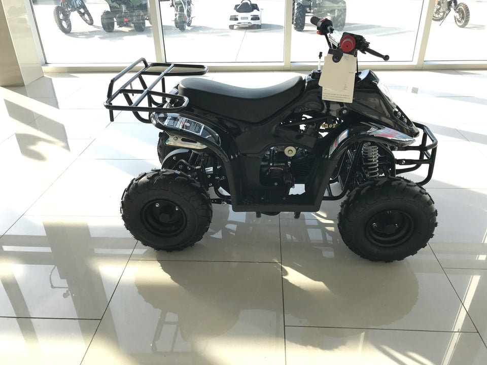 Coolster Moccasin 110cc ATV-3050C