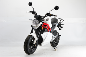 Little Monster -  Brushless 72V Electric Motorcycle 