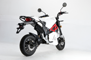 Brushless 72V Electric Motorcycle 