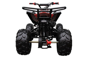 Raptor 125cc Quad Sport ATV - Fully Automatic - ATV-3125CX-2