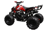 Raptor 125cc Quad Sport ATV - Fully Automatic - ATV-3125CX-2