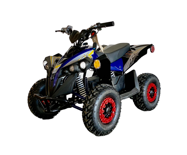 E-Bully 1000w ATV for cheap