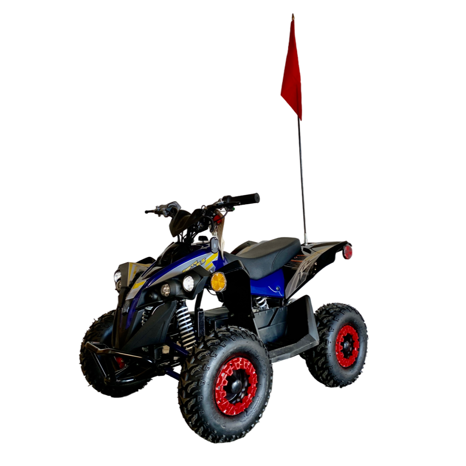 Mototec Electric ATV E Bully Kids 1000w Electric ATV 36 Volts
