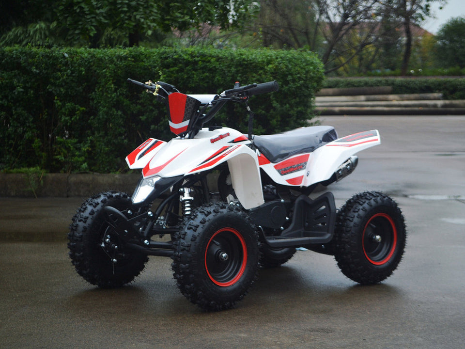 49cc Mini Quad ATV Four-Wheeler Gas with Dual Exhaust