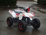 49cc Mini Quad ATV Four-Wheeler Gas with Dual Exhaust