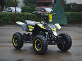 49cc Mini Quad ATV Four-Wheeler Gas with Dual Exhaust Black 6-Months Parts Replacement Warranty (Included)