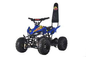 TomRide Electric ATV Quad VTT 500 Watts 24 Volts TR240 Blue Yellow