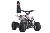 TomRide Electric ATV Quad VTT 500 Watts 24 Volts TR240 Red White