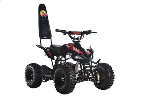 TomRide Electric ATV Quad VTT 500 Watts 24 Volts TR240 Red Black Back Rack + $40