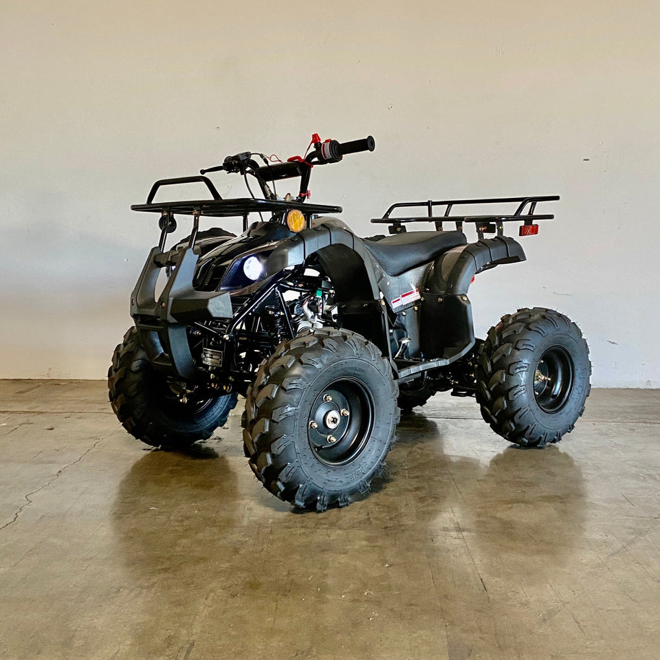 RAYTECH CRT125 1 ATV Automatic Quad 4 wheeler Ultimate Utility 125cc ATV FREE SHIPPING in USA Belmonte Bikes