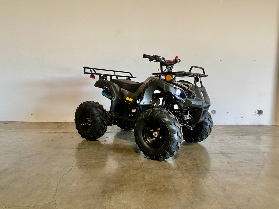 Kodiak 125cc Raytech ATV - Automatic + Reverse | CRT125-1