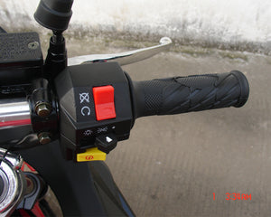 Roma 150cc Automatic Motorcycle - Street Legal