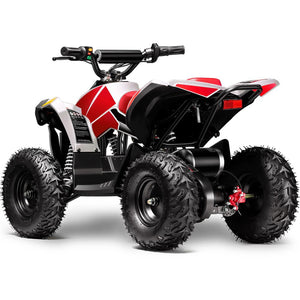 E-Bully electric quad for sale.