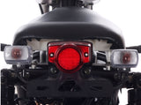 PMZ150-19 rear  tail view. Icebear maddog scooter