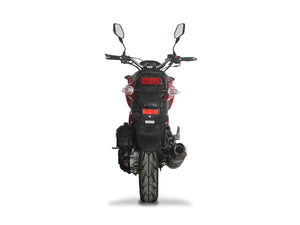 Icebear Mini Max 50cc Automatic Motorcycle | PMZ50-M1 | Street Legal