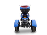 IceBear Mojo Magic 50cc Moped Trike - PST50-1Z - Back