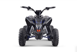 2020 Electric Mid-Size ATV 1300 Watts 48 Volts Lithium