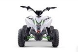2020 Electric Mid-Size ATV 1300 Watts 48 Volts Lithium