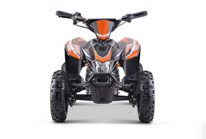 Electric Mini ATV 1000 Watts 36 Volts with LED Headlights