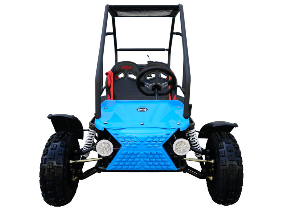 Coolster buggy store