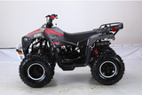 XD-125U Coolster 125cc ATV for sale  gas quad for coolster