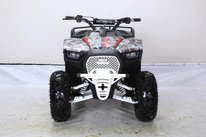 Coolster XD-125UF 125cc  Lander ATV for sale free shipping