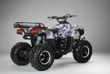 XD-125UF free shipping USA Belmonte Bikes. Lander XD-125UF 125cc ATV coolster