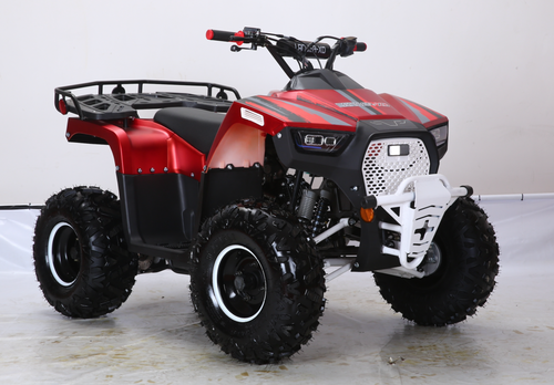 XD-125UF for sale free shipping Belmonte Bikes Lander 125cc atv for all ages