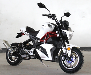 SRT Monster 50cc | Fully Automatic | Street Legal | DF50SRT