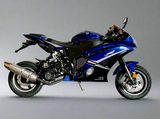 Ninja 200cc Wasp Motorcycle - Fully Automatic - DF200SST