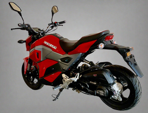 Icebear Mini Max 50cc Automatic Motorcycle | PMZ50-M1 | Street Legal