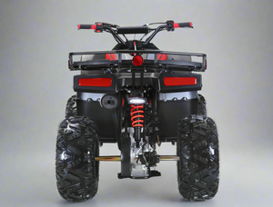 125cc teen quad - Landers Ned Flanders ATV 