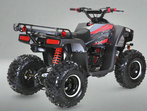 automatic 125cc kids atv - coolster lander