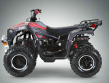 coolster lander 125cc quad 4 wheeler - XD-125UF