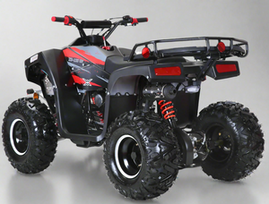 125cc mid size atv - lander 125cc atv