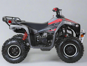 side view XD125 - 125cc atv