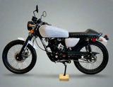 Sportster 250cc Mini Chopper | Cafe Racer | DF250RTG
