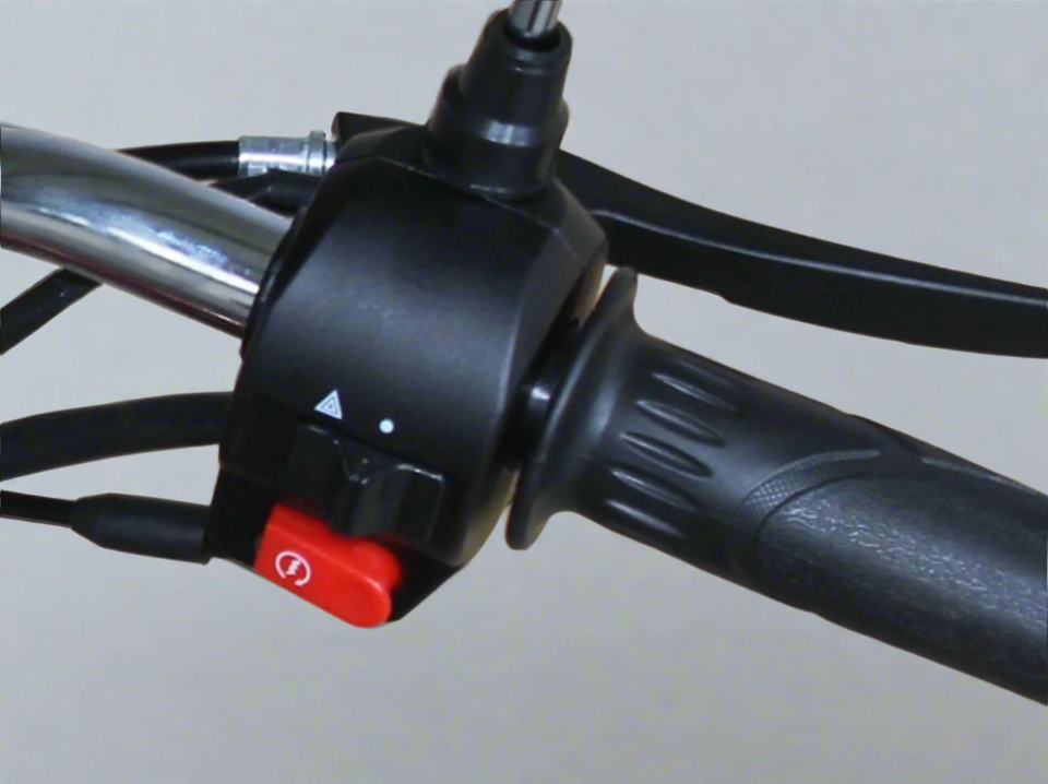 Throttle System of Cub 125cc Scooter