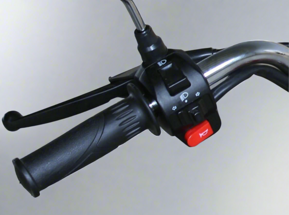 Left Handlebar Controls of Cub 125cc 