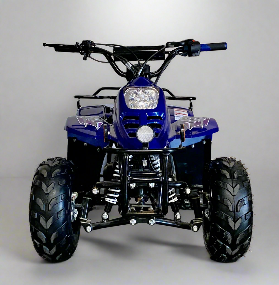 ATV 3050C 110cc Kids Gas ATV Moccasin 110cc kids atv PAH110 2