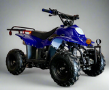 110cc kids atv for sale. ATV-3050C 110cc quad